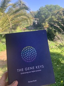 Raw ChocoMama learning musing contemplating Gene Keys